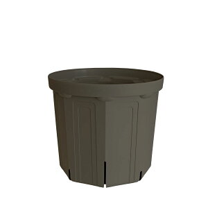 CSM-210 �Z�O���[ koigray�i7�����j�i�J�[�����N�J���[�j