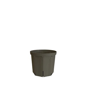 CSM-120�@�Z�O���[koigray�i4�����j�i�J�[�����N�J���[�j