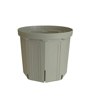 CSM-240 ���O���[usugray�i8�����j�i�J�[�����N�J���[�j