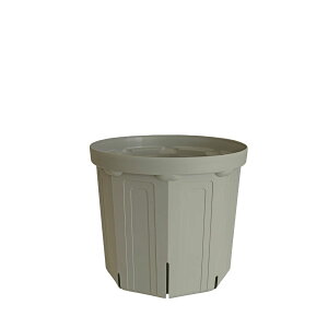 CSM-180 ���O���[ usugray�i6�����j�i�J�[�����N�J���[�j