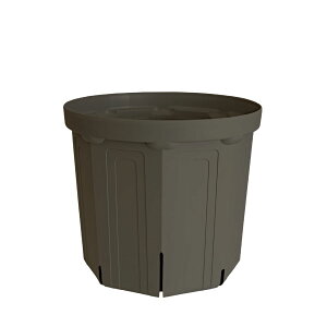 CSM-240 �Z�O���[koigray�i8�����j�i�J�[�����N�J���[�j