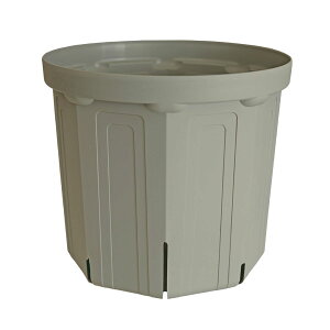 CSM-300 ���O���[usugray�i10�����j�i�J�[�����N�J���[�j