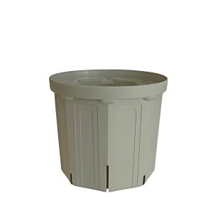 CSM-210 ���O���[ usugray�i7�����j�i�J�[�����N�J���[�j