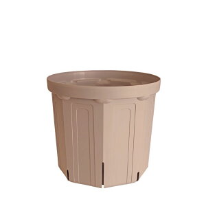 CSM-210 �V�F���s���N�i7�����j�i�J�[�����N�J���[�j