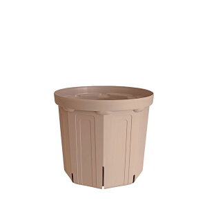 CSM-180 �V�F���s���N�i6�����j�i�J�[�����N�J���[�j