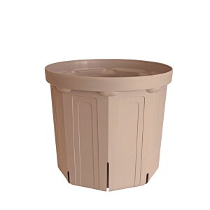 CSM-240 �V�F���s���N�i8�����j�i�J�[�����N�J���[�j