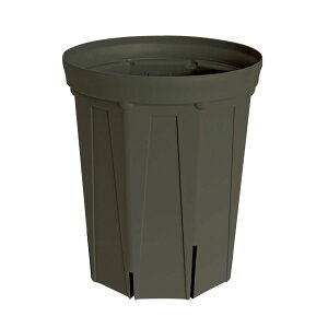 CSM-240L �Z�O���[koigray�i8�������O���j�i�J�[�����N�J���[�j