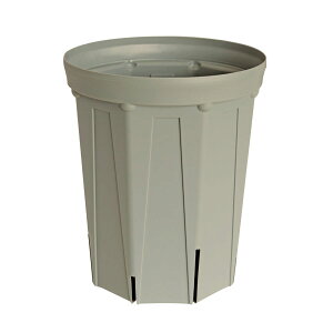 CSM-240L ���O���[usugray�i8�������O���j�i�J�[�����N�J���[�j