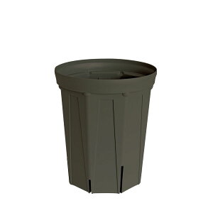 CSM-180L �Z�O���[koigray�i6�������O���j�i�J�[�����N�J���[�j