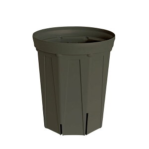 CSM-210L �Z�O���[koigray�i7�������O���j�i�J�[�����N�J���[�j