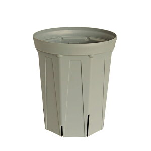 CSM-210L ���O���[usugray�i7�������O���j�i�J�[�����N�J���[�j