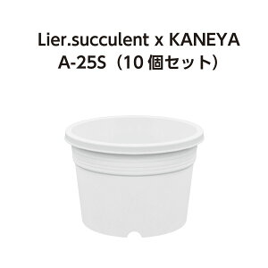 A-25S  10Zbg (2.5) (G[TLgR{i)