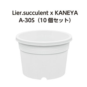 A-30S  10Zbg (3) (G[TLgR{i)