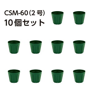 Xbg CSM-60i2j XO[ 10Zbg