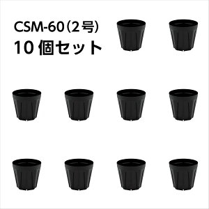 Xbg CSM-60i2j  10Zbg