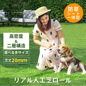 _}\XPő20UP^yzlH [ st 2m×10m 1m×10m i ό7Nȏ x47{ ŏ20mm A ^Cv hV[g Ő}bg lHŐ lHŃ[