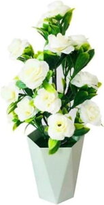 lH~ ԃỏ  tFCNO[ ~ lH  CeAO[ ϗtA G}  A̎ ͂Ȃ e[ufR[V ze̒ fXNgbv  