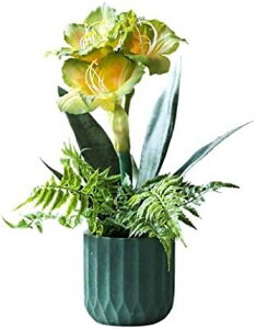  A[eBtBVt[ _ŃVvȃtFCNt[qbyAXgԃZbgAz[fXNgbv葕 t[ v[g Mt