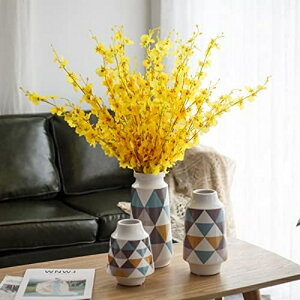  CeA IVW[ ԑ fB I[ig A[gt[ k  ] a  ƁAցAiX  p[eB[  v[g