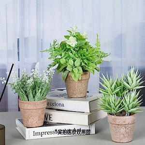 lHϗtAAGxʓAfXNgbvlHAvX`bNԂƗ΂̐AԃV~[V~͉F