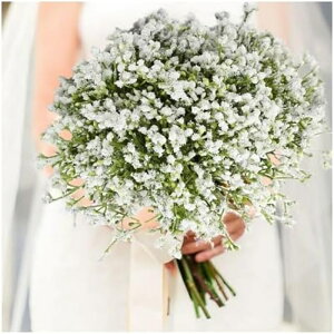 52Z`[g 90wbhzCguXlHJX~\ẺԂ̉ԑƒ؉a