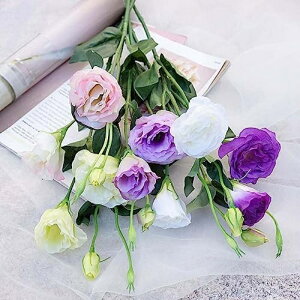 6{  ԑ gRj[ O[ tFCNt[ CeA k A[eBtBVt[ A X^CbV v[g Ȃ  蕨 ̓ JXj 