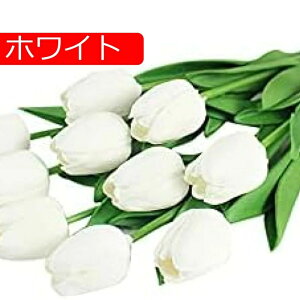 ԑ `[bv  a v[g  o^C Mtg  CeA u[P ͂Ȃ j ̓ 10{Zbg