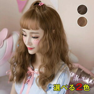 J[  ECbO ϔM ӂ tECbO EG[u R Xg[g Ȃ݂Ȃ݃EF[u O ނ RXv Z~O tEBbO GA[oO Cxg hn c[g[ 