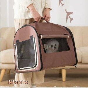 ܂肽 \tgP[W  L L[obOt MTCYs60×46×51cm ^