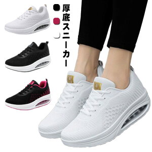 p 40 fB[X ɂ C Xj[J[ ₷  _CGbgV[Y r y i[XV[Y D^  5cm EH[LOV[Y ƌC Ōt wlC 20 3