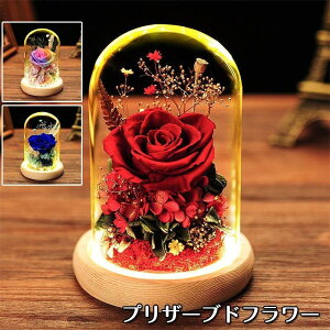 vU[uht[ v[g ̓ a  Mtg t[ o ͂Ȃ  vU[uht[ KXh[