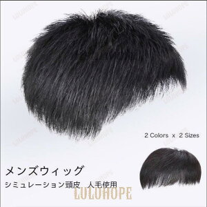  Y EBbO R Zt l EBbO j ё΍ Jc V[g GNXe