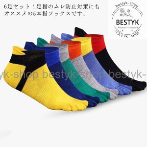 5{w\bNX Y X|[c Ԃ ܖ{w C jO \bNX I[V[Y  6Zbg Xgb` ʋC hL z