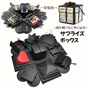 TvCY{bNX DIY Ao  񂹏 ʐ^ {bNX GNXv?fBO{bNX т蔠 яo v[g{bNX NGCeBu Mtg a LO Ajo[