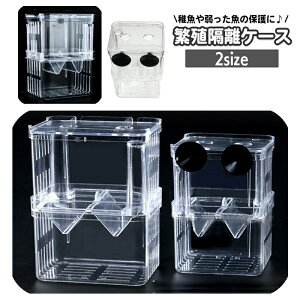 YP[X uP[X ɐBu{bNX p 2i {bNX upi 琬P[X z tbN Y z Y  NA ybgObY ybgpi ANAEpi t 