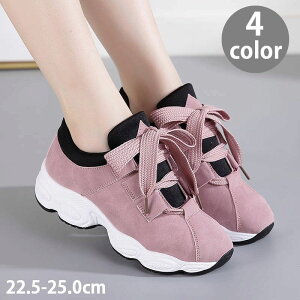 Xj[J[ ^C fB[X p  V[Y ЂC  R n [Jbg JWA   X|[eB[ Vv ₷ fC[ ig ł wl