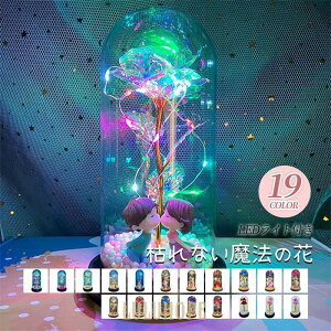 vU[uht[ N}t  o ԑ ͂Ȃ LEDCgt o^C zCgf[ ̓ w  LO Mtg