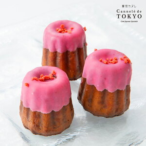 可愛い いちごスイーツ 人気のお取り寄せ洋菓子ギフトのおすすめランキング わたしと 暮らし 可愛い いちごスイーツ 人気のお取り寄せ洋菓子ギフトのおすすめランキング わたしと 暮らし