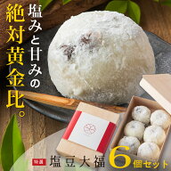 母の日 ギフト 大福 ギフト 個包装 超人気【京都出町柳 塩豆大福】【6個セット】【送料無料】和菓子 おい…