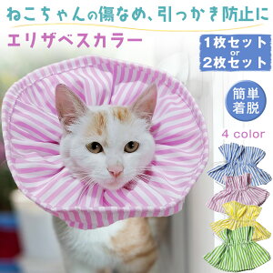 GUxXJ[ L \tg GUxXJ[ lR t _炩 ȒP Lp  p 킢 X^C TCY t 킢  pPA   D z ی 