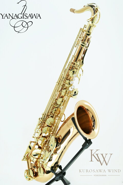 楽天市場】《即納可能！》Yanagisawa T-WO2【新品】 【ヤナギサワ  