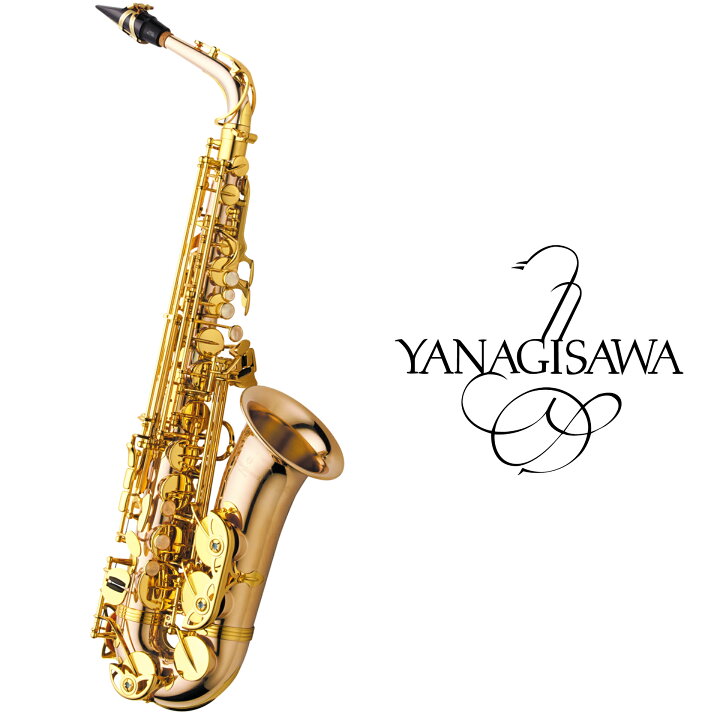楽天市場】YANAGISAWA A-WO2 