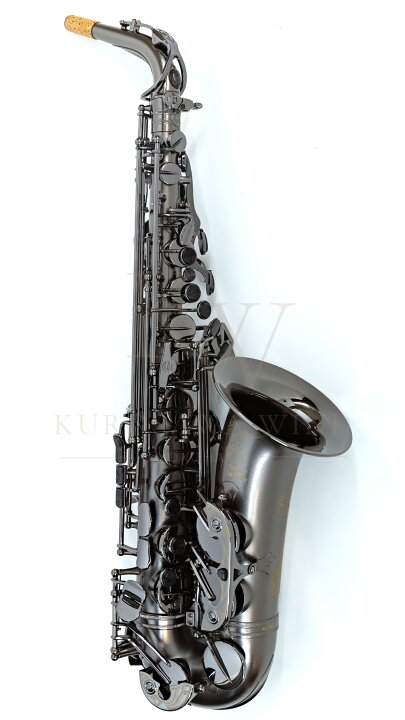 楽天市場】Cannonball A5-BiceB RAVEN 