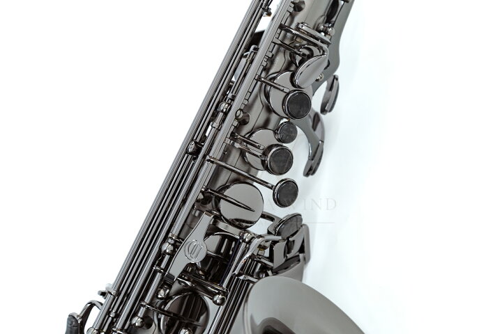 楽天市場】Cannonball A5-BiceB RAVEN 