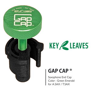 KEY LEAVES Gap Cap Saxophone End CapyVizyNTEChlX ݌ɕizyWIND YOKOHAMAz