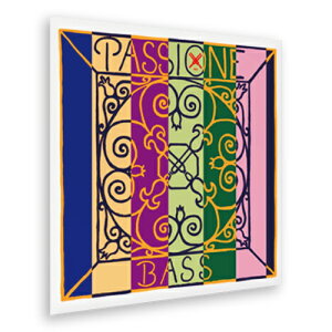Pirastro Passione(Medium)/pbVI[l(~fBA)y5H/I[PXg`[jOzyRgoXzy{{XRgoXtA݌ɕiz