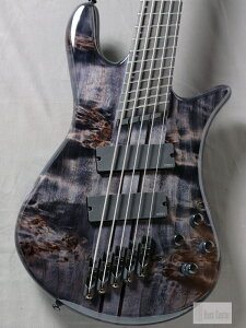 Spector NS Dimension MS 5 Gloss EE Translucent Blacky5zyNTyXI[_[fzy{{Xx[XZ^[݌ɕiz