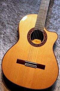 Jose Ramirez Estudio 140 CWE E[YEbh yI[Pzyʐ^zyTLzyrܓX݌ɕiz