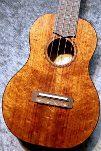FUJIGEN(FGN) yẴ{[iXZ[!!zFUS-TC-02 #24A0007yRT[gzynCARAPzyrܓX݌ɕiz