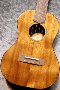FUJIGEN(FGN) yẴ{[iXZ[!!zFUS-TT-03 #23C0011yei[zynCARAPzyrܓX݌ɕiz